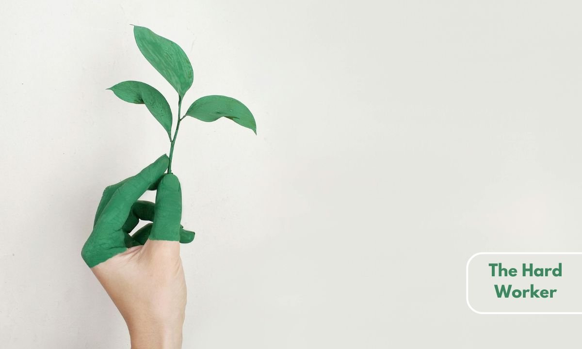 Unstoppable Forces of Growth