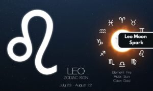 Zodiac Signs